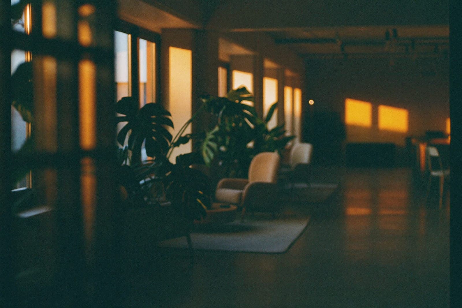 Espace lounge chaleureux et lumineux dans les locaux d'APPER